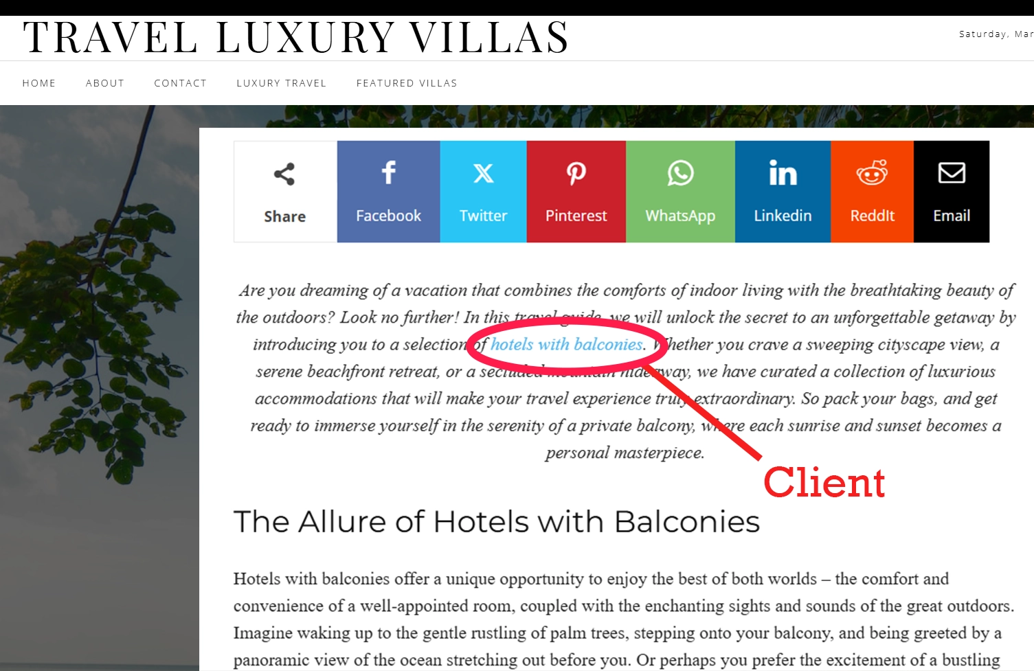 E-Commerce PR Campaign